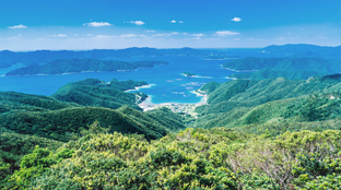 Beautiful sea and green landscape