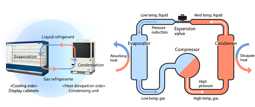 The refrigeration system on the right and the display cabinets on the left are connected. The liquid refrigerant condensed by the refrigeration system evaporates in the display cabinets, becomes gas refrigerant, and returns to the refrigeration system（左図）／The condenser is on the right, and the evaporator is on the left. The refrigerant from the condenser is depressurized by the expansion valve, reaches the evaporator, and absorbs heat. The refrigerant from the evaporator is pressurized by the compressor and releases heat in the condenser（右図）