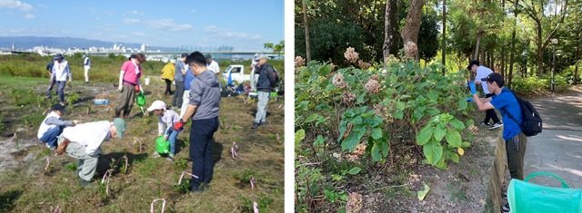 尼崎と鶴見緑地.jpg