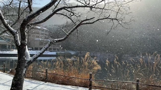 エコリレー：2026年1月度の活動報告 (エコリレーJ通信第212号)