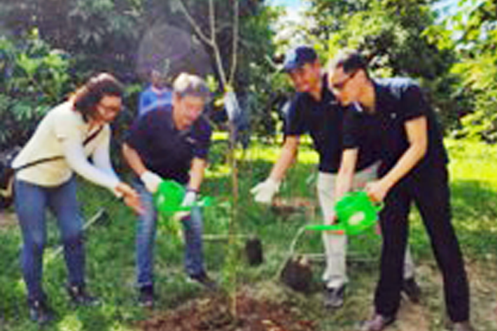 シンガポール：PA創立50周年を記念し、世界環境デーにあわせて50本を植樹