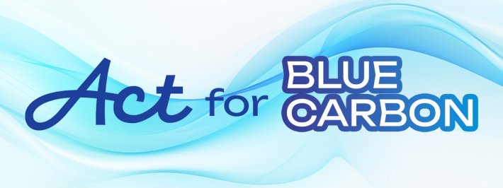 blue_carbon_banner1280x480.jpg