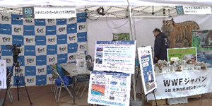 Japan: Sponsorship and Booth for WWF's Earth Hour