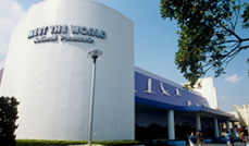 画像：ミート・ザ・ワールド