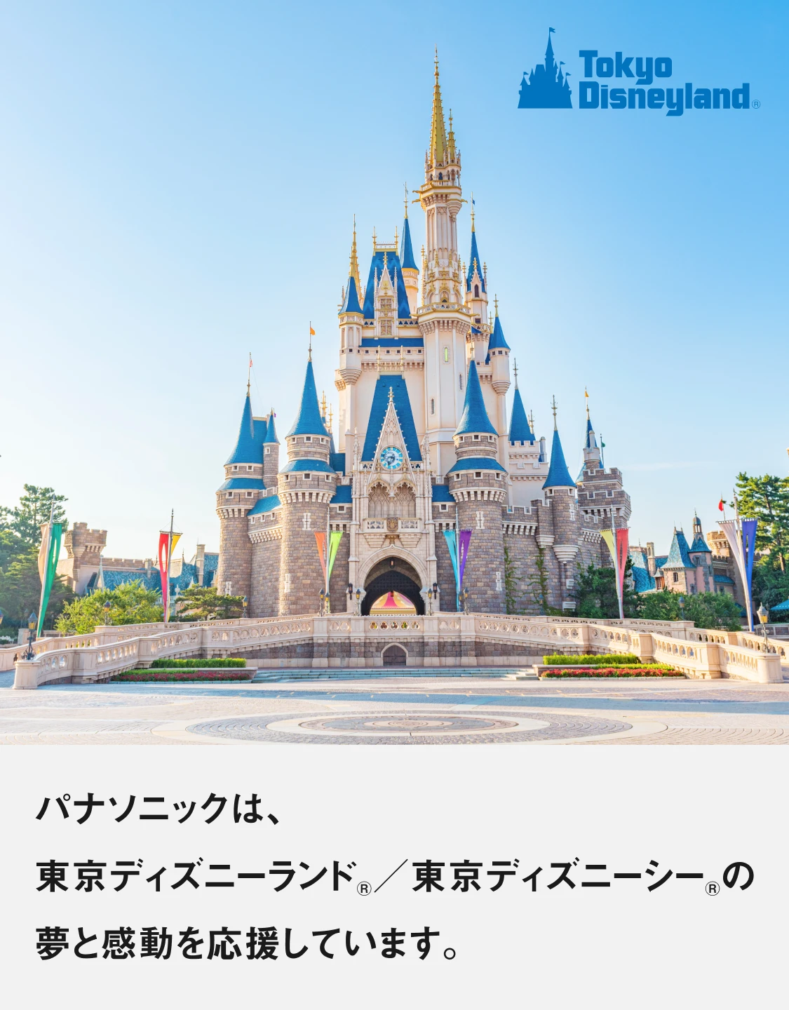 パナソニックは、東京ディズニーランド®／東京ディズニーシー®の夢と感動を応援しています。