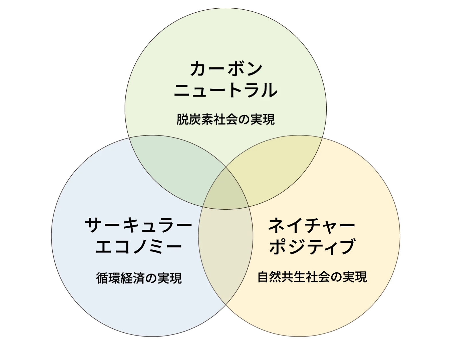 カーボンニュートラル 脱炭素社会の実現 サーキュラーエコノミー 循環経済の実現 ネイチャーポジティブ 自然共生社会の実現