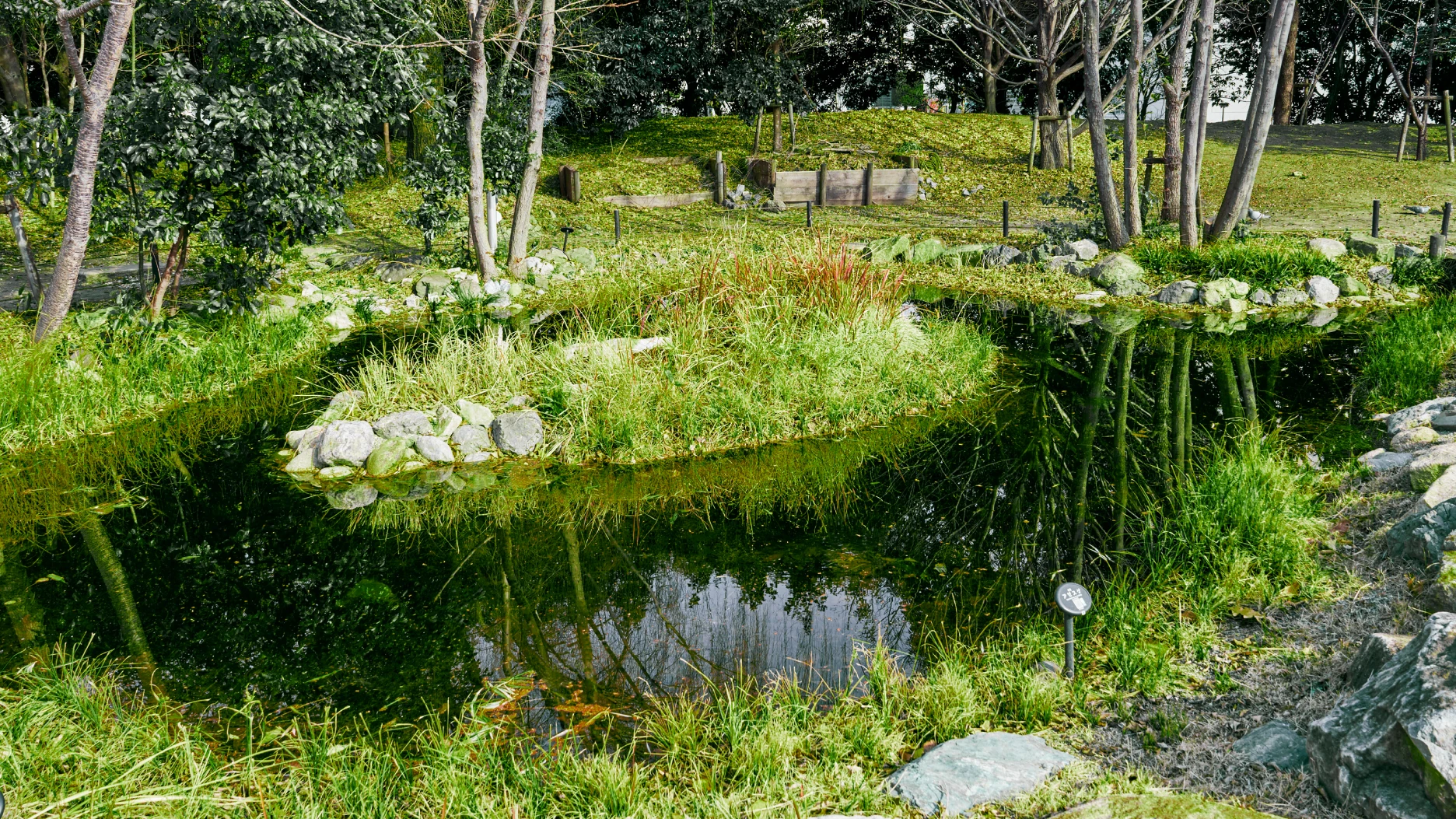 写真：門真地区ビオトープ