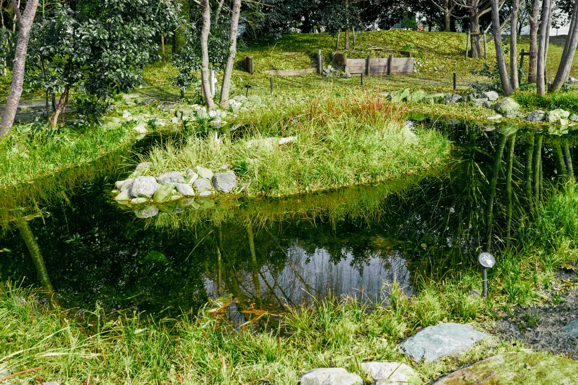 写真：門真地区ビオトープ
