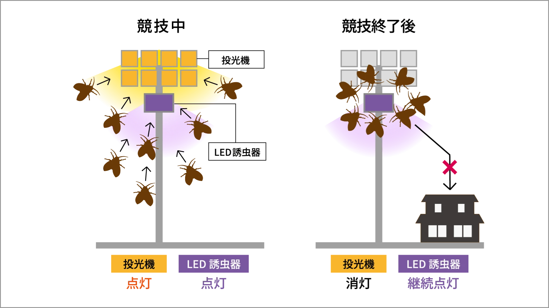 競技中 投光機：点灯 LED誘虫器:点灯／競技終了後 投光機：消灯 LED誘虫器：継続点灯