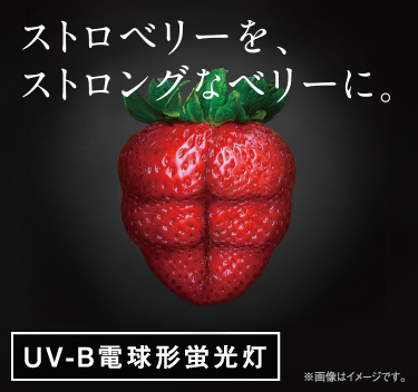 UV-B電球形蛍光灯