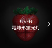 UV-B電球形蛍光灯