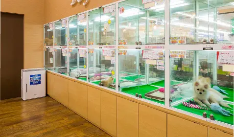 空港ドッグセンターなんば店の写真