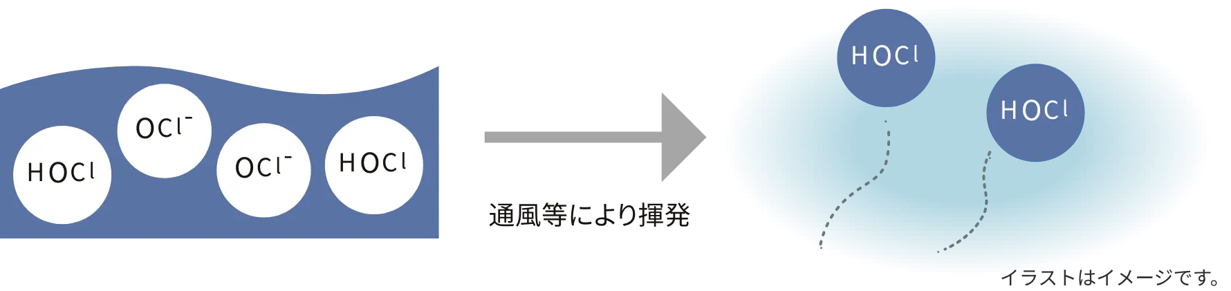 水溶液中の次亜塩素酸分子（HOCl）が空気中に揮発するイラスト