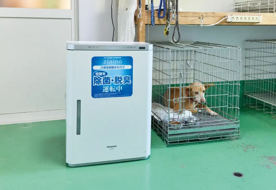 やの動物病院内の写真