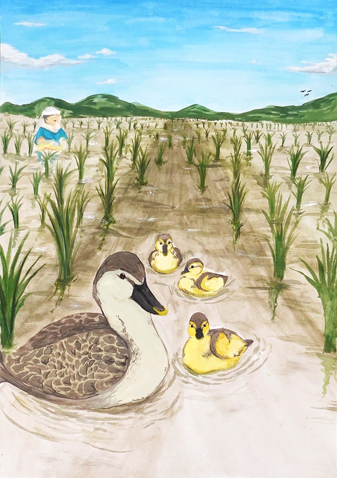いのちが育つ田んぼ