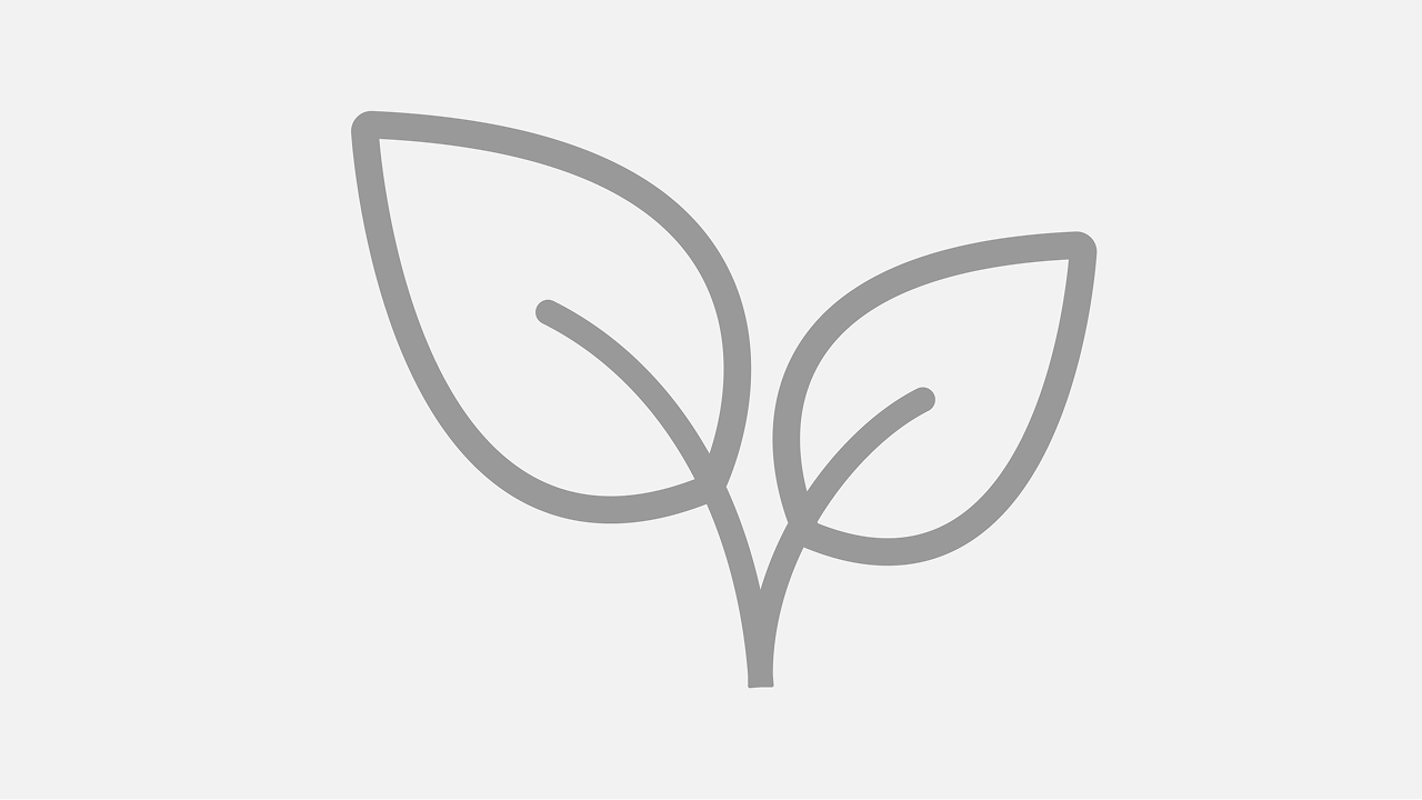 環境への取り組み