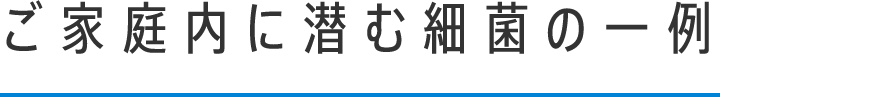 ご家庭内に潜む細菌の一例