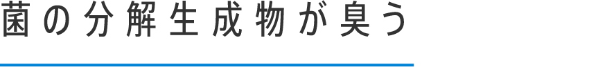 菌の分解生成物が臭う