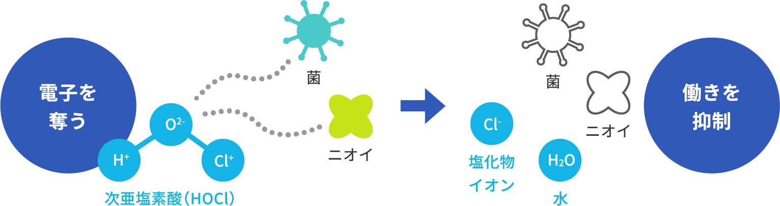 こんなところにも次亜塩素酸！
