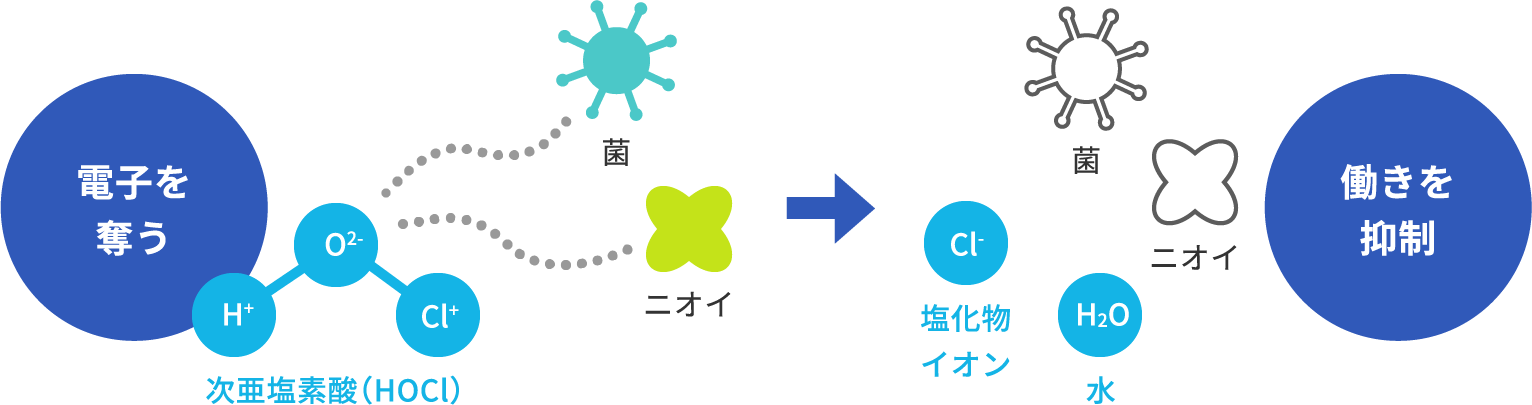 こんなところにも次亜塩素酸！