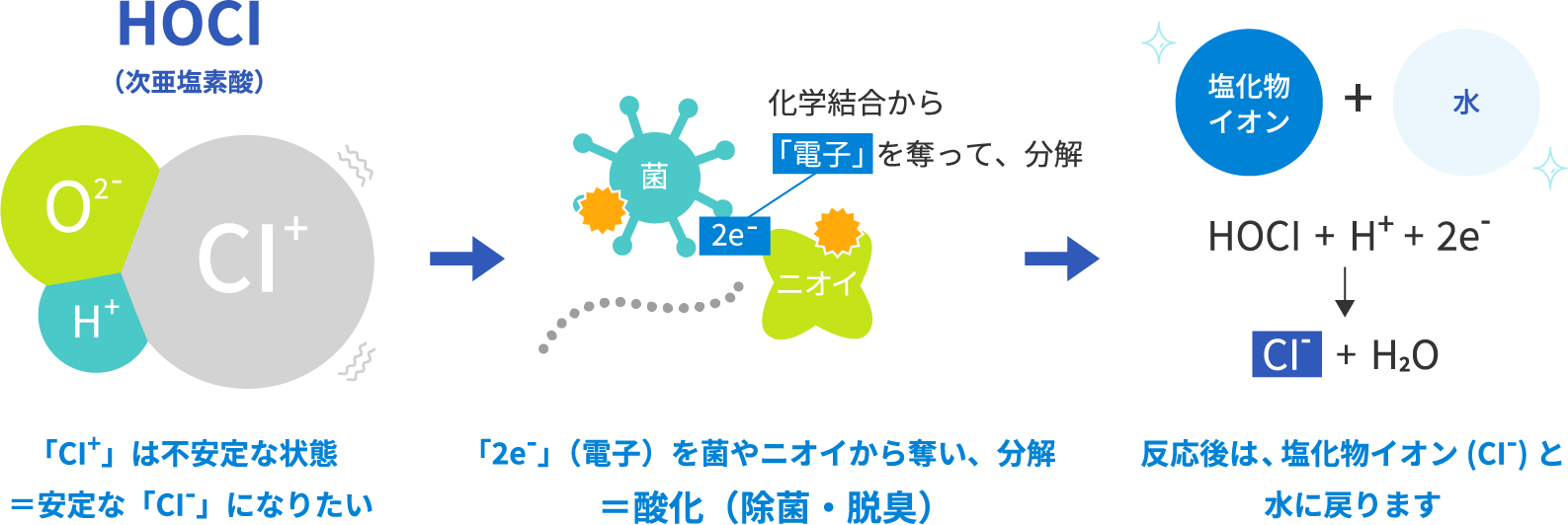 次亜塩素酸（HOCl）の分解メカニズムイメージ