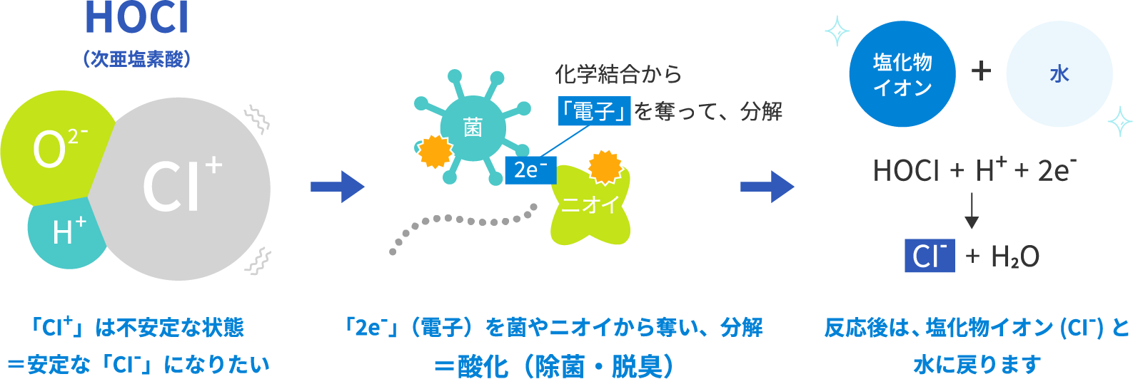次亜塩素酸（HOCl）の分解メカニズムイメージ