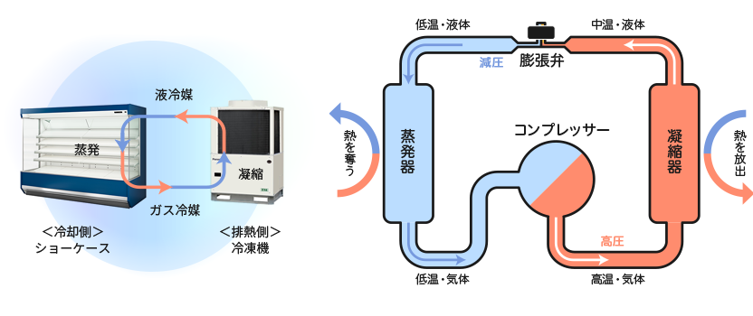 右側の冷凍機と左側のショーケースはつながっていて、冷凍機で凝縮された液冷媒はショーケースで蒸発してガス冷媒となって冷凍機に戻る(左図)/右側に凝縮器、左側に蒸発器がある。凝縮器から出た冷媒は膨張弁で減圧されて蒸発器に届き熱を奪う。蒸発器から出た冷媒はコンプレッサーで高圧になって凝縮器で熱を放出する(右図)