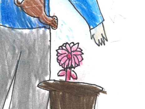 家でも植物を