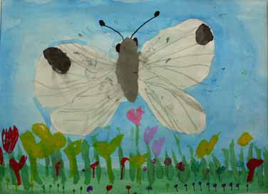 モンシロチョウ