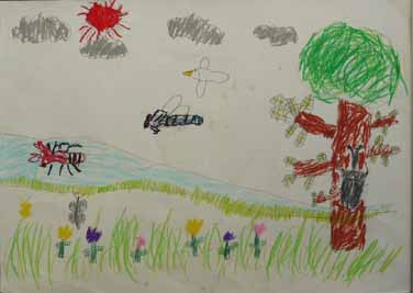 なつのむしたち