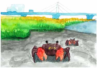 いつまでもいてねカニさん