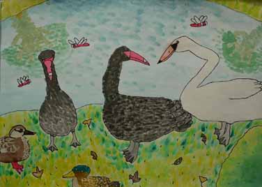 生き物たくさん