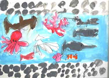 海のいきものを大切にしよう