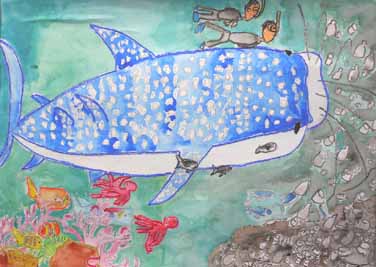 ジンベイザメと海のおそうじ