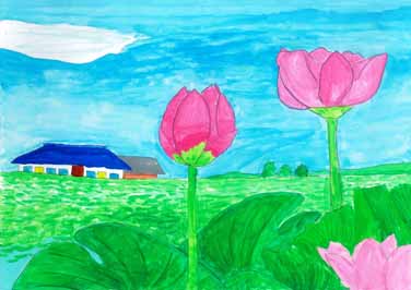 れんこん畑の大きな花