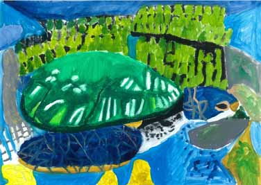 カメが元気で生きれる川にしたい