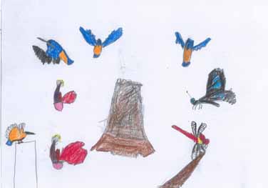 カワセミとアキアカネとアオスジアゲハ