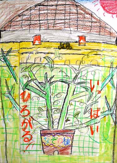 どんどん大きくなる緑のカーテン