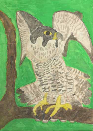 伊良湖のハヤブサ