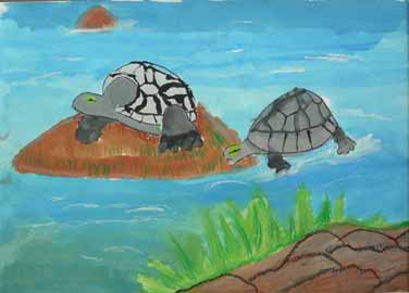 川の環境を守る