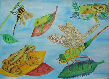 守ろう！生き物たちのすみかを