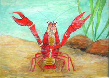 小川にいるアメリカザリガニ