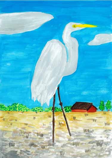 サギが心地よくすめる田にしよう