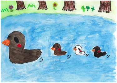 生き物のいばしょを大切に！