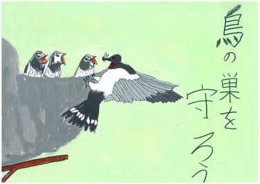 つばめの子育て