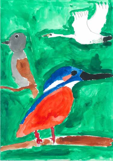 みんなで守ろう鳥たちを