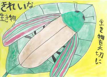 きれいな虫タマムシ