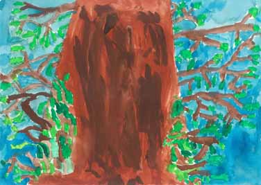 北小のシンボル、メタセコイヤ