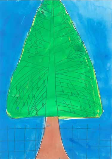 大切なメタセコイヤ