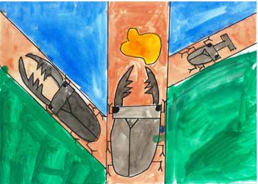 カブトムシ、クワガタを大切にしよう